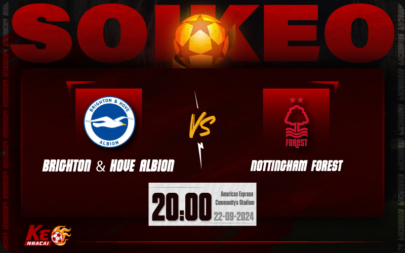 Soi kèo Brighton vs Nottingham