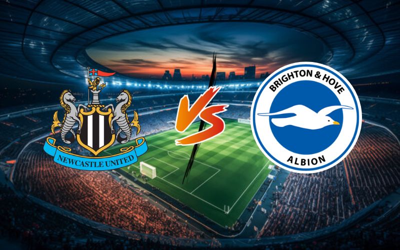 Soi kèo bóng đá Newcastle vs Brighton